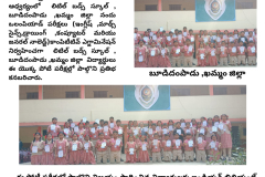 little buds school - 1